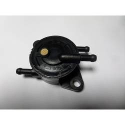 Pompa alimentare Acme - Lombardini