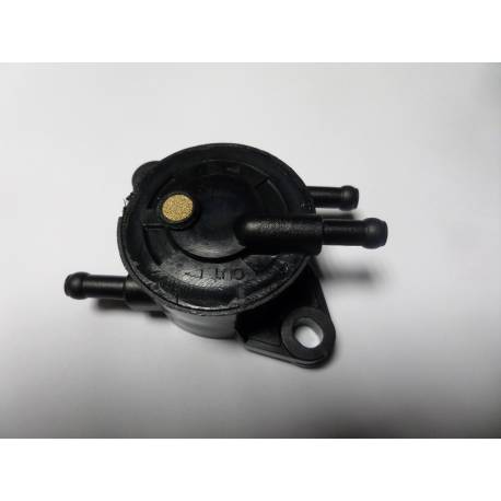 Pompa alimentare Acme - Lombardini