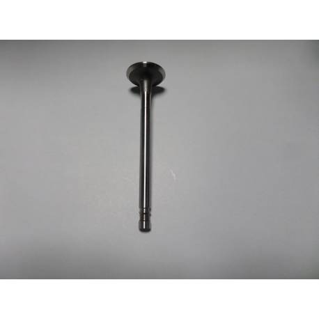 Supapa de evacuare Fiat