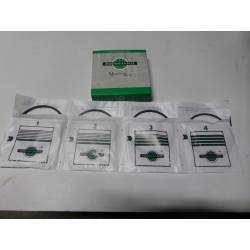 Serie segmenti Lamborghini D.100.50 mm 2.5x2.5x3x5 mm