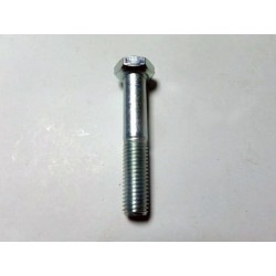 Surub special M 14x80 pentru protectie BCS