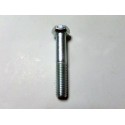 Surub special M14x80 pentru protectie anterioara