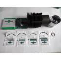 Kit cilindru-piston-serie garnituri VM