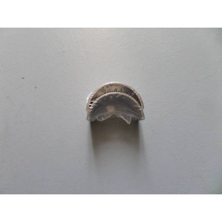 Cuzinet Lombardini LDA 450 - 3 LD 510 0,25