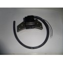 Bobina electronica Lombardini LGA 184-225