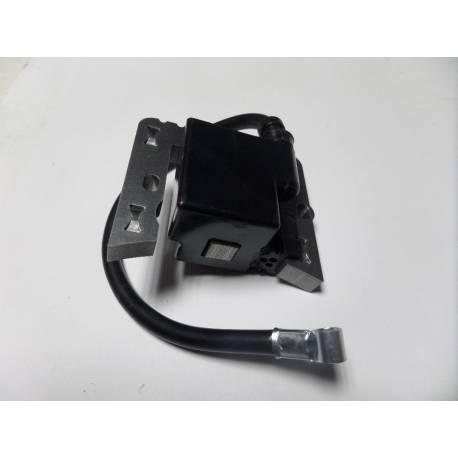 Bobina electronica Aspera - Tecumseh Tecnamotor